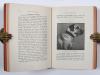 Horn, Otto, Handbuch des Hunde-Sport.
