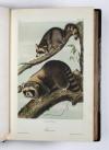 Audubon, John James und John Bachmann, The Quadrupeds of North America.