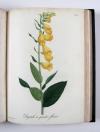 Roques, Joseph, Phytographie médicale, ornée des figures coloriées de grandeur naturelle, ou l’on expose l’histoire des poisons tirés du règne végétal, et les moyens de remédier a leurs effets délétères, avec des observations sur les propriétés et les usages des plantes héroiques.