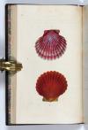 Donovan, Edward, The Natural History of British Shells, including figures and descriptions of all the species hitherto discovered in Great Britain, systematically arranged in the Linnean manner, with scientific and general observations on each.