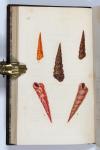 Donovan, Edward, The Natural History of British Shells, including figures and descriptions of all the species hitherto discovered in Great Britain, systematically arranged in the Linnean manner, with scientific and general observations on each.