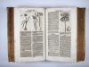 Zwinger, Theodor, Theatrum botanicum, Das ist: Neu vollkommenes Kräuter-Buch.