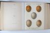 Krause, Georg, Oologia universalis Palaearctica.
