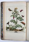 Harris, Moses, (The Aurelian: or, natural history of English Insects.) Le Aurelien: ou, Histoire naturelle des Insects Anglois; mommement, les phalenes et papillons, avec les plantes sur lesquelles ils se nourrissent.