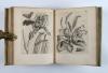 Merian, Maria Sibylla, Erucarum ortus, alimentum et paradoxa metamorphosis. In qua origo, pablum, transformatio, nec con tempus, locus et proprietates erucarum, vermium, papilionum, phalaenarum, muscarum, aiorumque hujusmodi exsanguium animalculorum exhibentur…