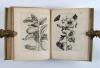 Merian, Maria Sibylla, Erucarum ortus, alimentum et paradoxa metamorphosis. In qua origo, pablum, transformatio, nec con tempus, locus et proprietates erucarum, vermium, papilionum, phalaenarum, muscarum, aiorumque hujusmodi exsanguium animalculorum exhibentur…