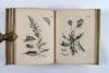 Merian, Maria Sibylla, Erucarum ortus, alimentum et paradoxa metamorphosis. In qua origo, pablum, transformatio, nec con tempus, locus et proprietates erucarum, vermium, papilionum, phalaenarum, muscarum, aiorumque hujusmodi exsanguium animalculorum exhibentur…