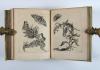 Merian, Maria Sibylla, Erucarum ortus, alimentum et paradoxa metamorphosis. In qua origo, pablum, transformatio, nec con tempus, locus et proprietates erucarum, vermium, papilionum, phalaenarum, muscarum, aiorumque hujusmodi exsanguium animalculorum exhibentur…