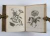 Merian, Maria Sibylla, Erucarum ortus, alimentum et paradoxa metamorphosis. In qua origo, pablum, transformatio, nec con tempus, locus et proprietates erucarum, vermium, papilionum, phalaenarum, muscarum, aiorumque hujusmodi exsanguium animalculorum exhibentur…