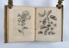 Merian, Maria Sibylla, Erucarum ortus, alimentum et paradoxa metamorphosis. In qua origo, pablum, transformatio, nec con tempus, locus et proprietates erucarum, vermium, papilionum, phalaenarum, muscarum, aiorumque hujusmodi exsanguium animalculorum exhibentur…