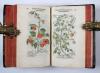 Fuchs, Leonhart, Primi de stirpium historia commentariorum tomi vivae imagines, in exiguam angustioremque formam contractae…