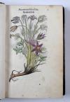 Fuchs, Leonhart, Primi de stirpium historia commentariorum tomi vivae imagines, in exiguam angustioremque formam contractae…