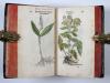 Fuchs, Leonhart, Primi de stirpium historia commentariorum tomi vivae imagines, in exiguam angustioremque formam contractae…
