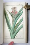 (Zorn, Johannes), Alle Werke komplett, uniform gebunden und in neuwertigem Zustand.  I. Abbildungen von Arzneygewächsen. Icones plantarum medicinalium. 6 Bände. II. Dreyhundert auserlesene amerikanische Gewächse nach Linneischer Ordnung. 6 Teile in 3 Bänden. III. Auswahl schöner und seltener Gewächse als Fortsetzung der amerikanischen Gewächse. 5 Teile in 3 Bänden.