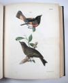 De Kay, J.E., Natural history of New York. Part II: Birds.