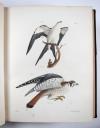 De Kay, J.E., Natural history of New York. Part II: Birds.