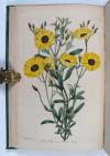 Sweet, Robert, Cistineae. The natural order of cistus, or rock-rose…in the gardens of Great Britain; with the best directions for their cultivation and propagation.