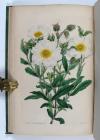 Sweet, Robert, Cistineae. The natural order of cistus, or rock-rose…in the gardens of Great Britain; with the best directions for their cultivation and propagation.