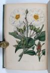 Sweet, Robert, Cistineae. The natural order of cistus, or rock-rose…in the gardens of Great Britain; with the best directions for their cultivation and propagation.