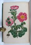 Sweet, Robert, Cistineae. The natural order of cistus, or rock-rose…in the gardens of Great Britain; with the best directions for their cultivation and propagation.