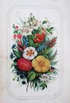 Anonym The Christian Garland, or, a companion for leisure hours: consisting of original and selected pieces in poetry and prose.