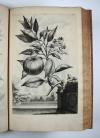 Munting, Abraham, Phytographia curiosa, exhibens arborum, fructicum, herbarum &amp; florum icones.