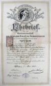 Fick, Maximilian Jr., Sehr umfangreiche Sammlung von Original-Entwürfen des Wiener Juweliers. Sammlung von ca. 600 Farb- und Bleistiftzeichnungen mit Schmuckmustern.
